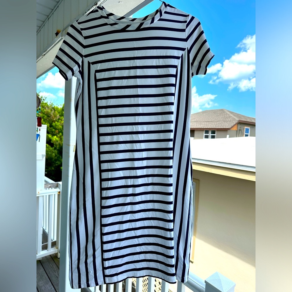Southern Tide Navy & White Dress
